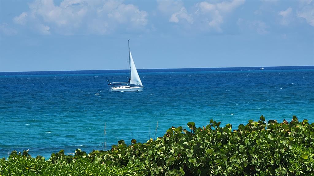 MAYFAIR HOUSE CONDO - Residential