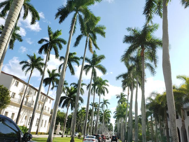 MAYFAIR HOUSE CONDO - Residential