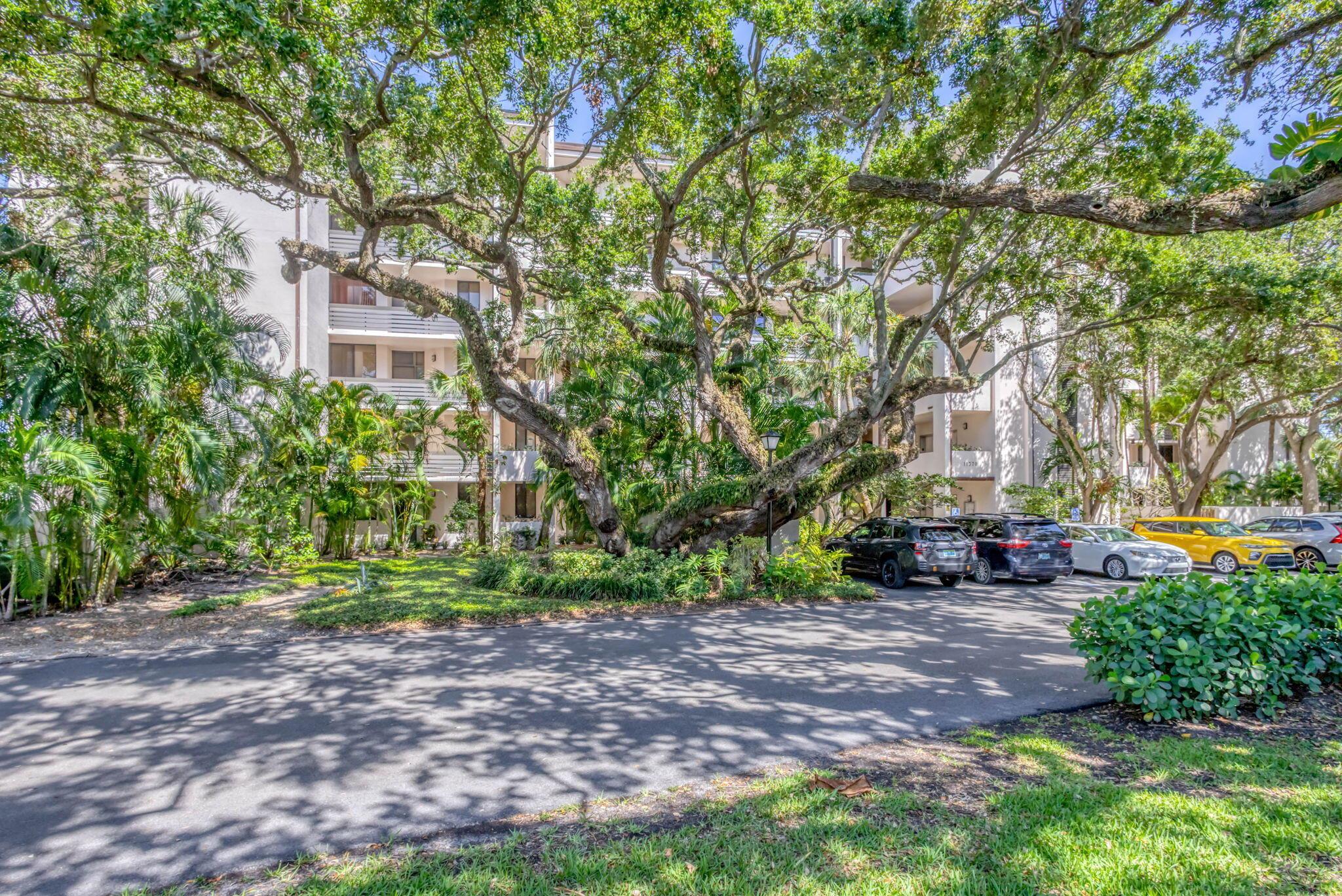 11370 Twelve Oaks Way 217