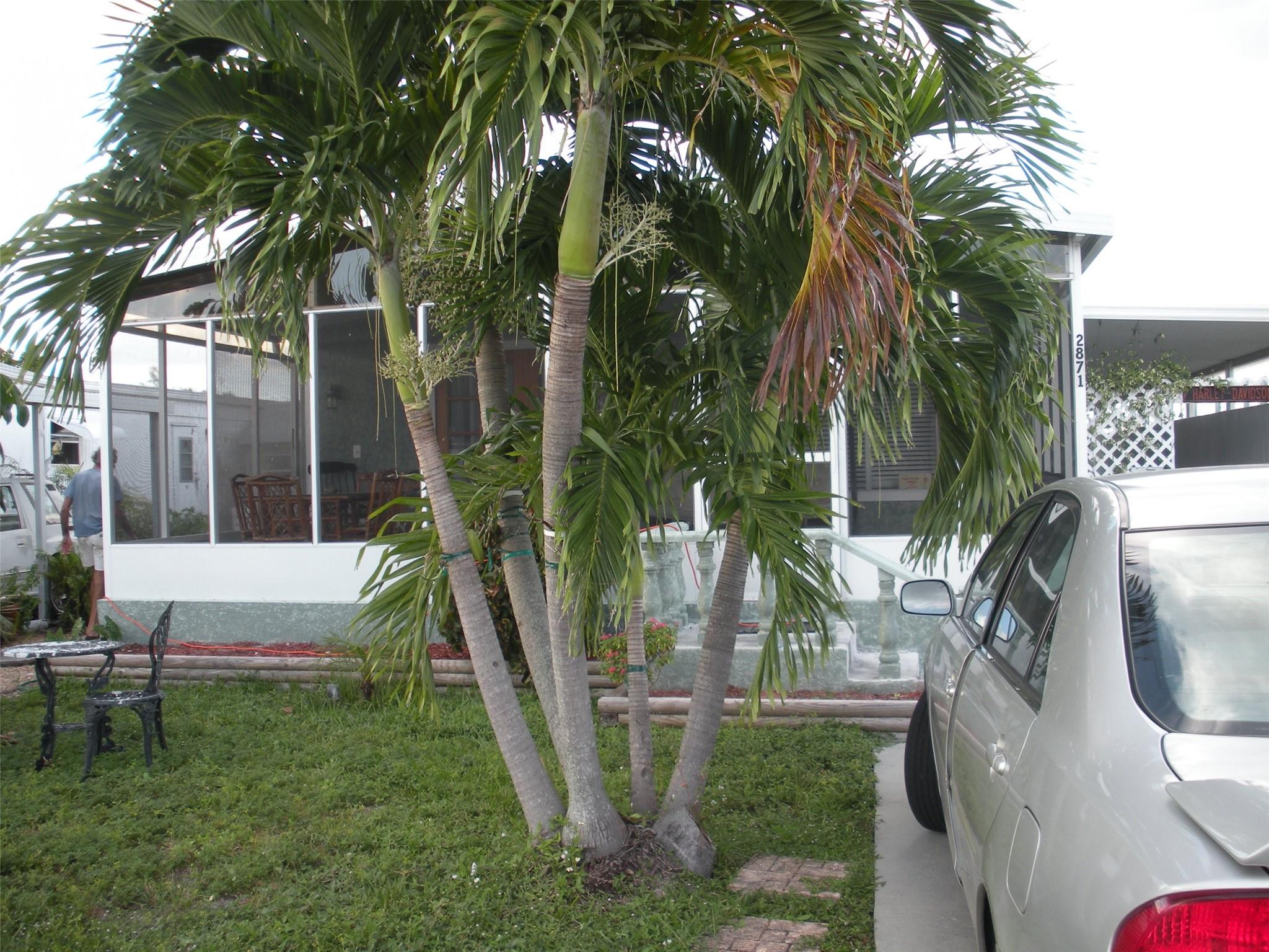 View Fort Lauderdale, FL 33312 mobile home