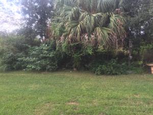 RIVER PLACE ON THE ST LUCIE NO 6 - Residential