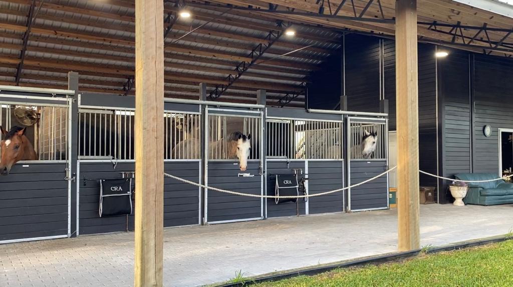 RUSTIC RANCHES - Residential