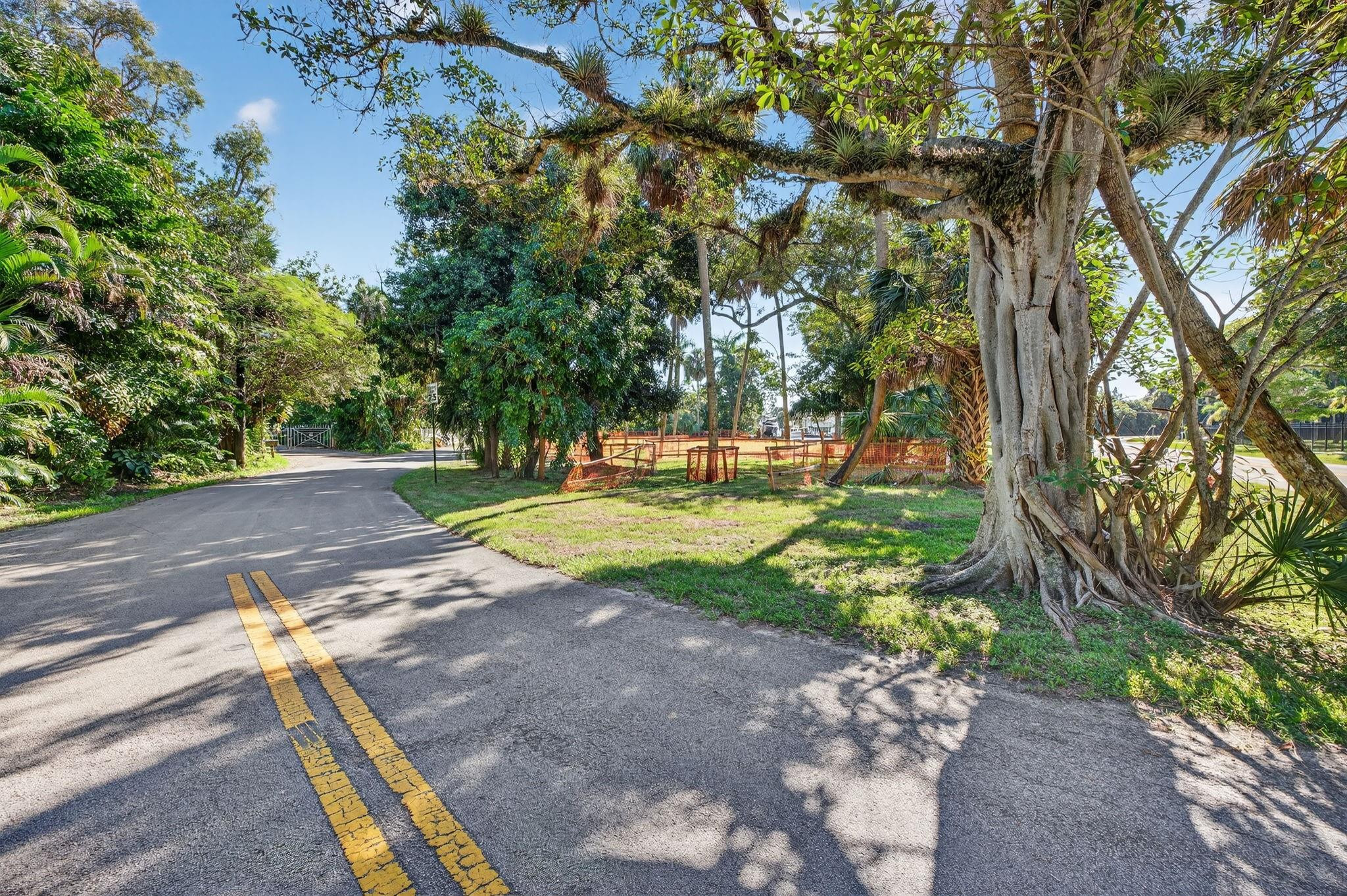 PALM GROVE ACRES - Land