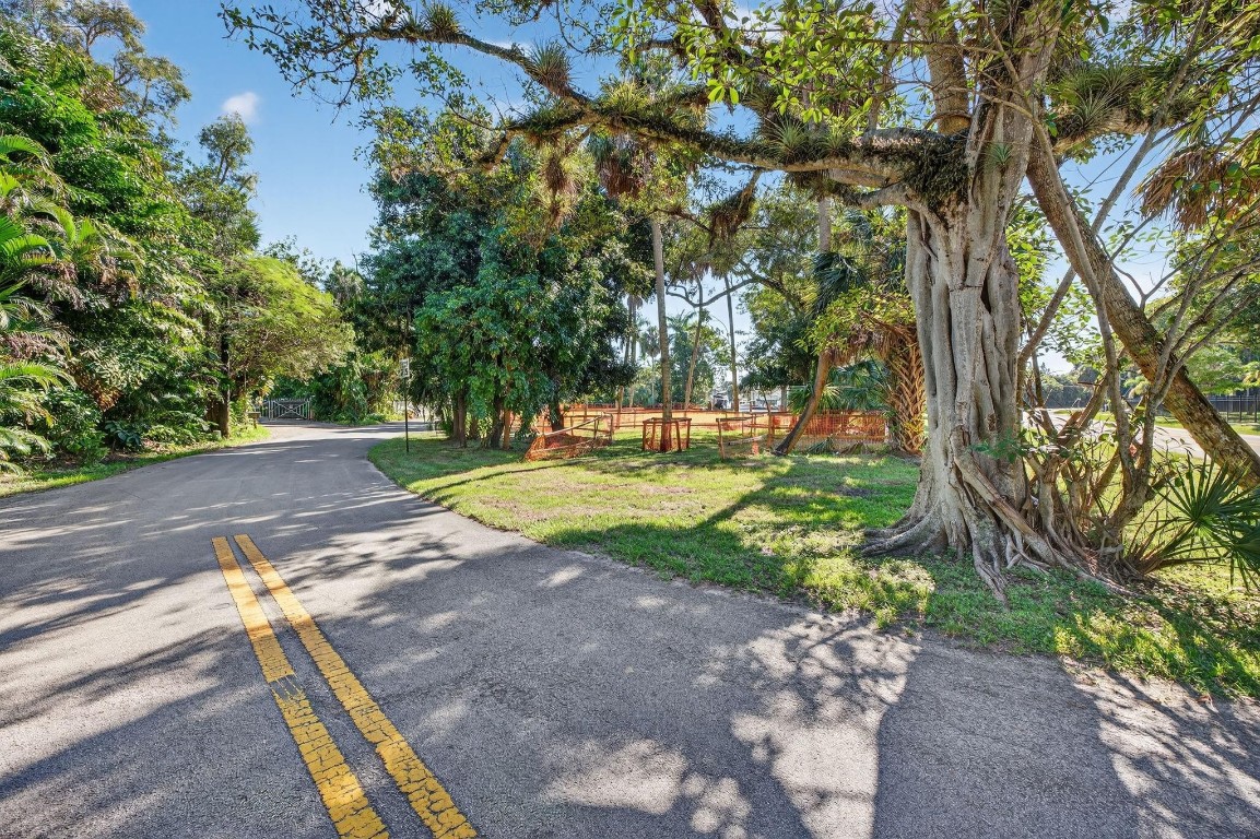 PALM GROVE ACRES - Land