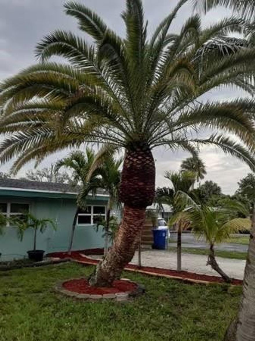 Freshly remodeled one bedroom, one full bathroom apartment with a private full size washer and dryer. Huge fenced in backyard with a mango tree, grass and pavers. There is a large canopy on the pavers for outside living that's really nice. There is a private driveway specifically for this apartment only.