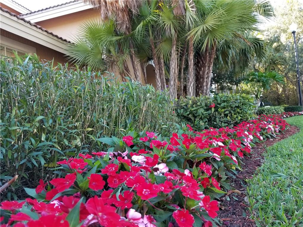 Club Caribe Condo - Residential Lease