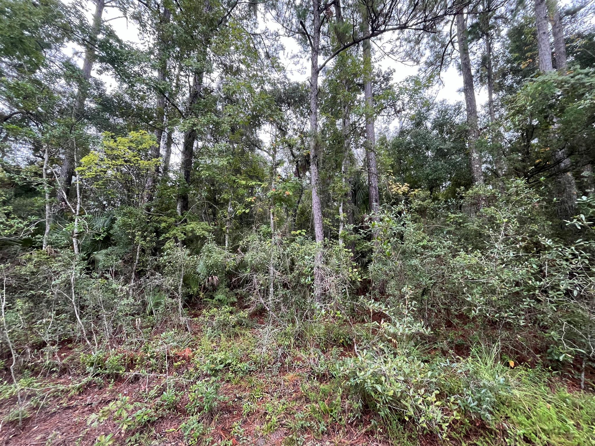 121 Doewood Trail