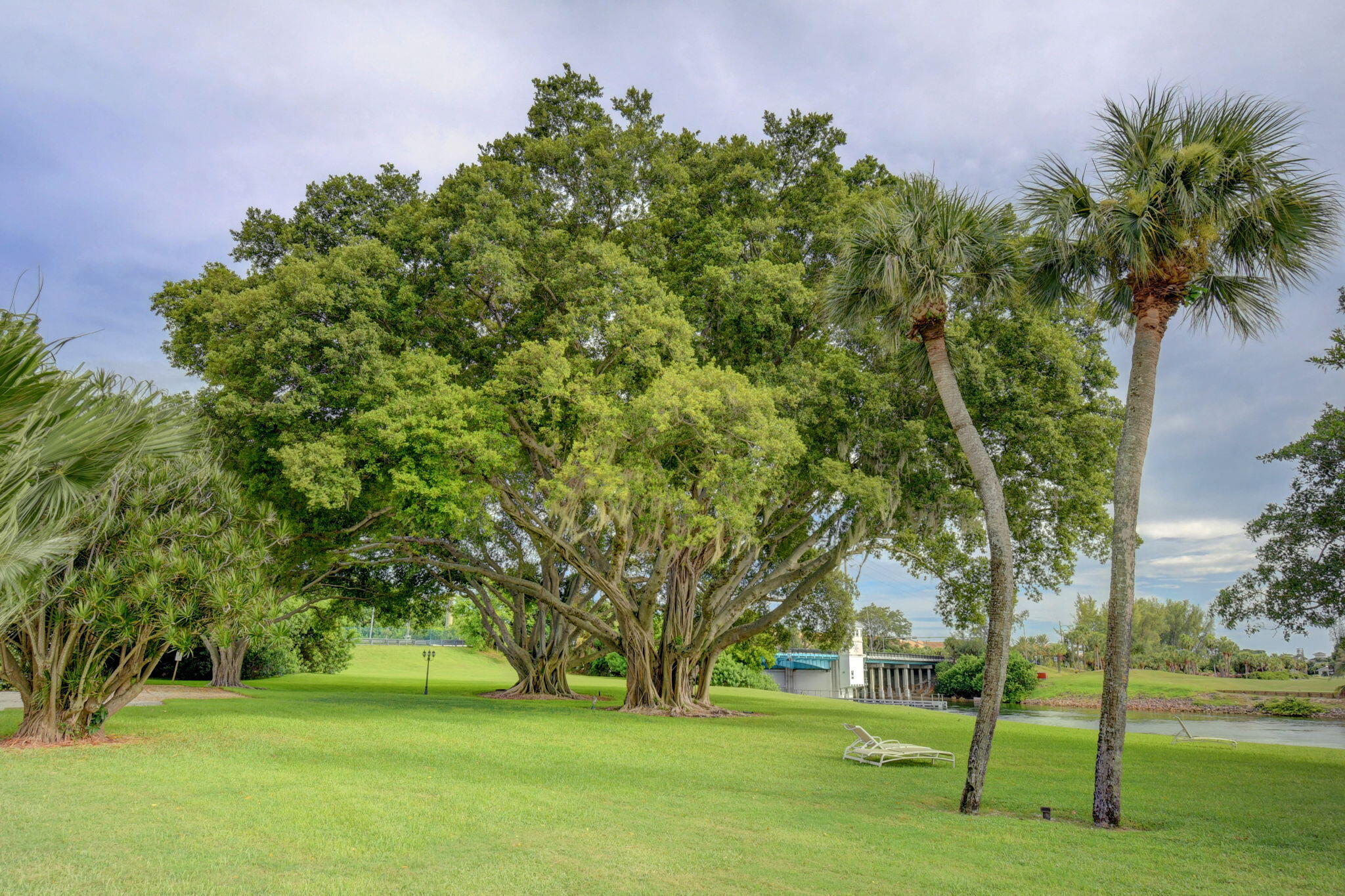 WATERWAY TERRACE CONDO - Residential
