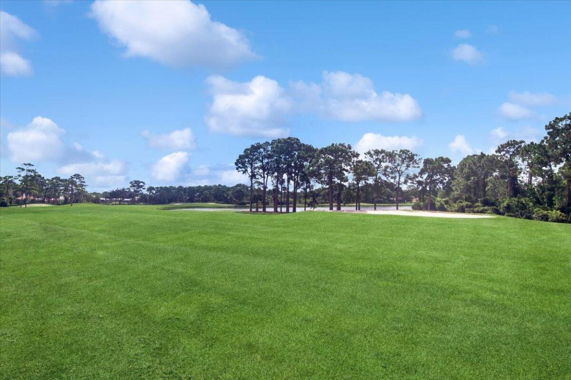 THE PINES AT THE RESERVE - Residential