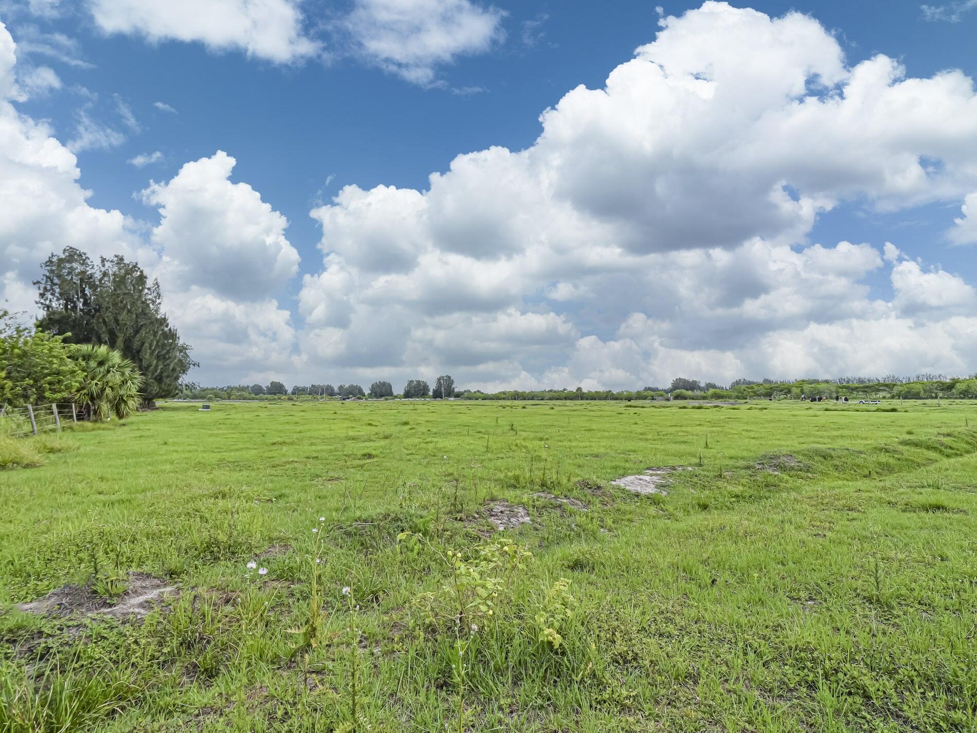 INDIAN RIVER FARMS COMPAN - Land