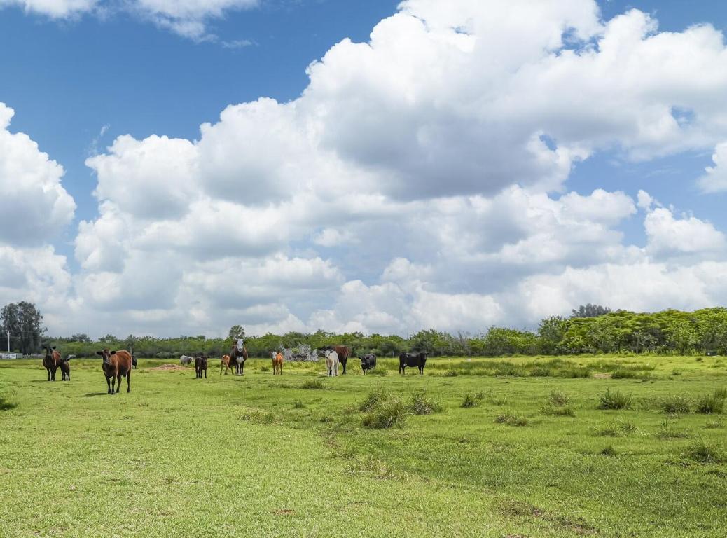 INDIAN RIVER FARMS COMPANY S/D - Land