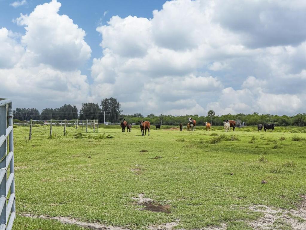 INDIAN RIVER FARMS COMPANY S/D - Land