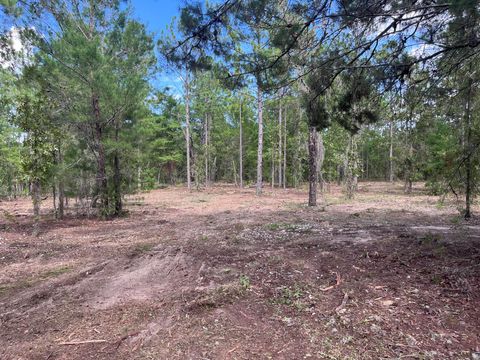 321 Himalayan Street Interlachen FL 32148