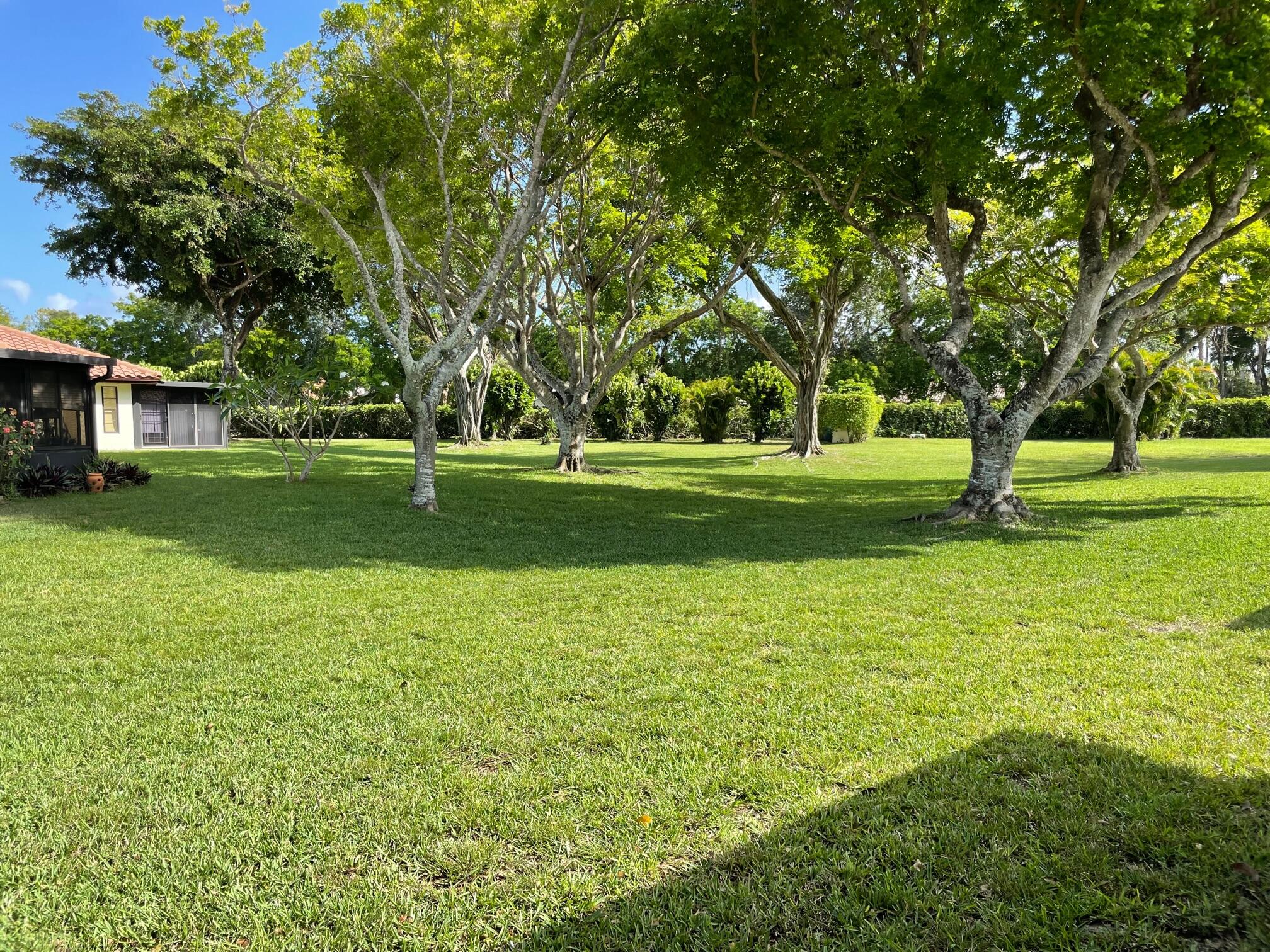 PALM CHASE CONDO - Residential