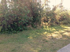PORT ST LUCIE SECTION 19 - Land