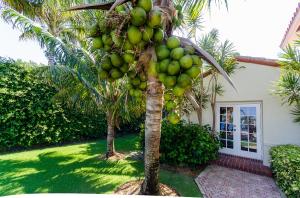 NORTH SHORE TERRACE - Residential