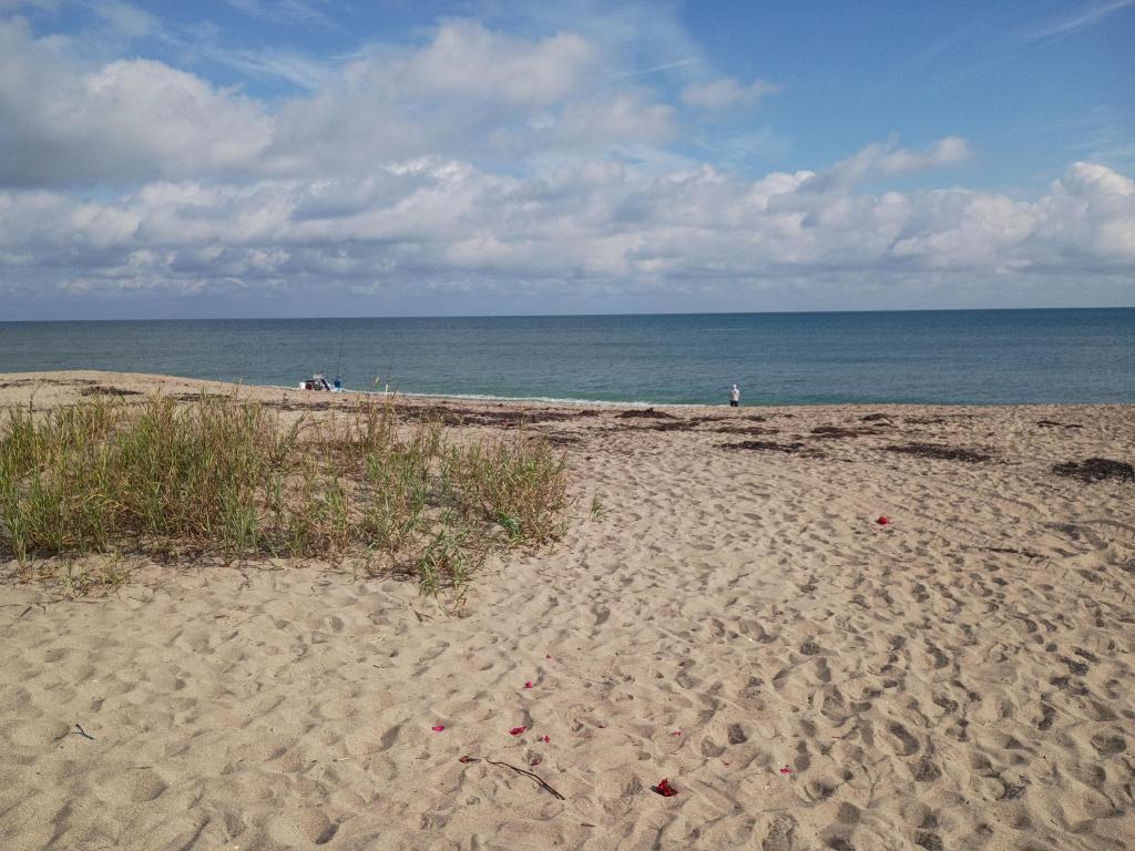 IMPERIAL APARTMENT CONDO - Residential