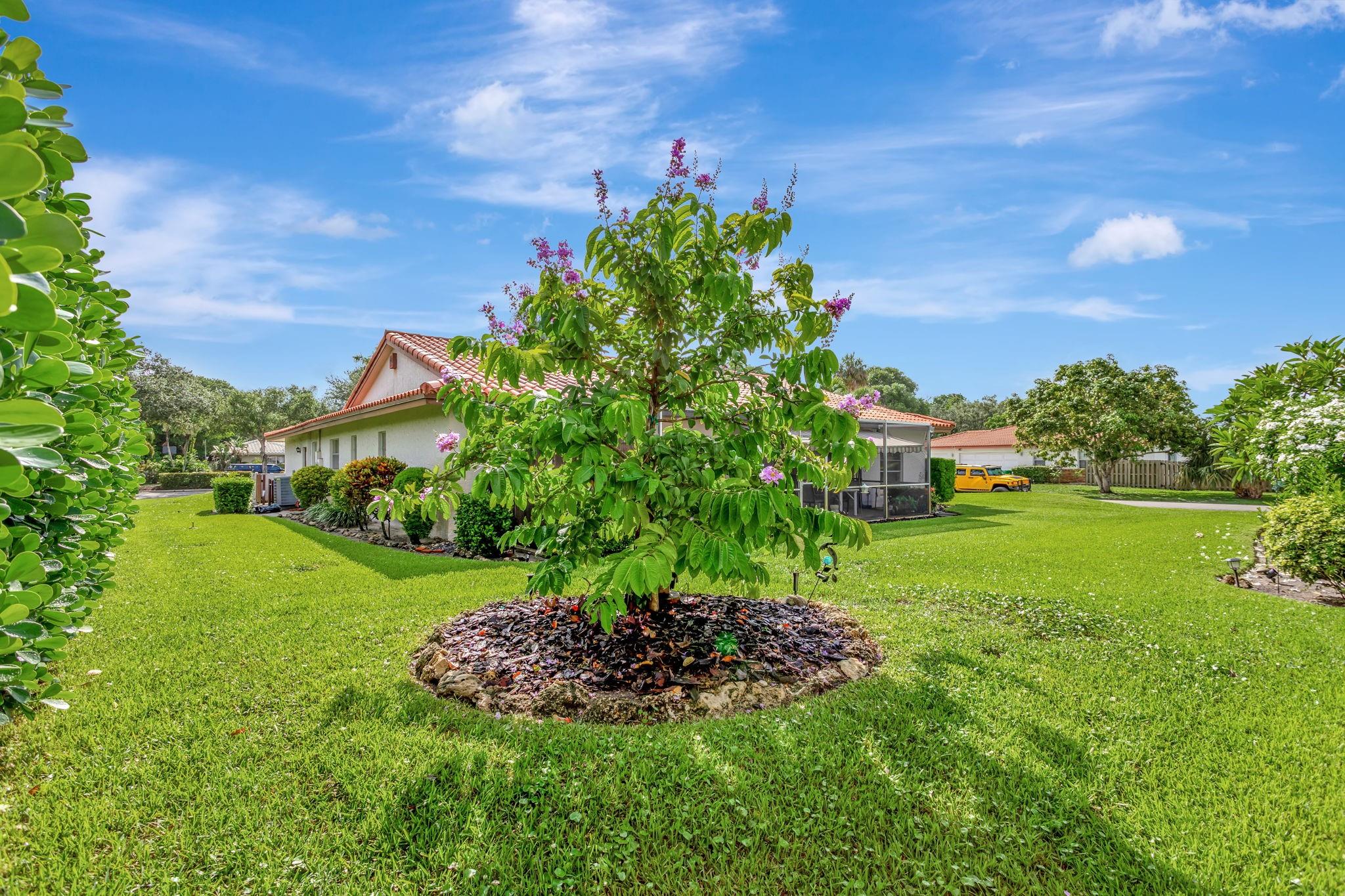 Maplewood - Residential