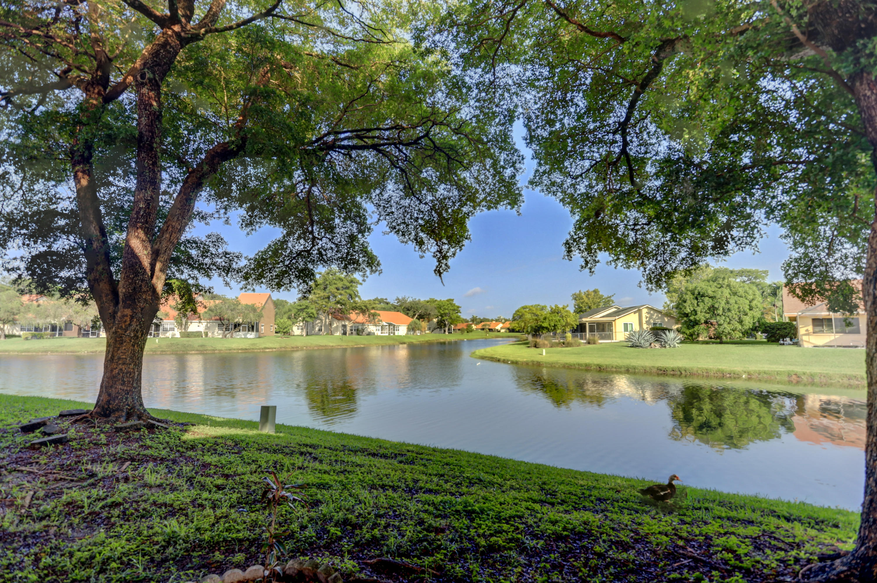 Pineapple Park - Residential