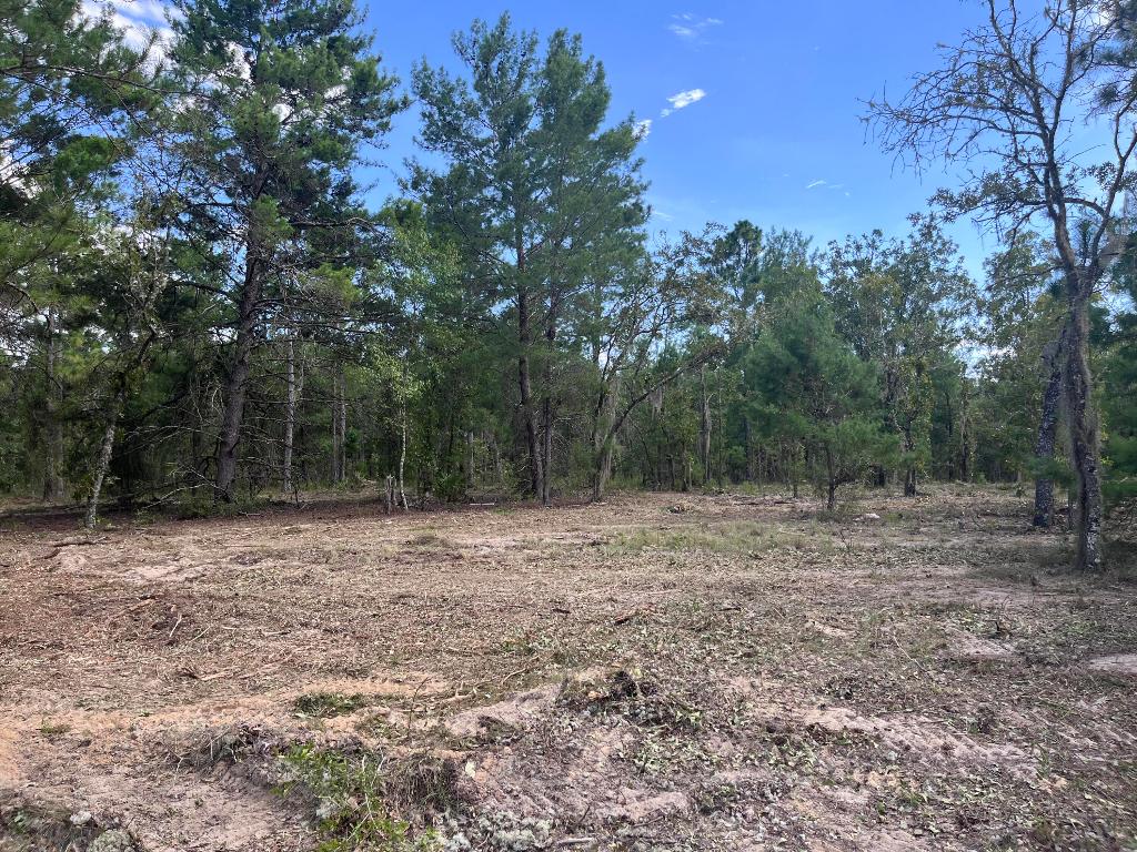 INTERLACHEN LAKES ESTATES - Land