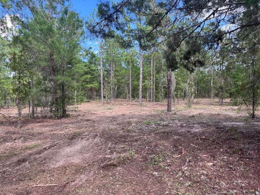 Owner financing is available! Build or bring your mobile home to this stunning 0.23 acre lot in the growing city of Interlachen. With power lines already in place, accessing electricity is a breeze. Located within minutes of schools, restaurants, diners, and parks. An easy commute to Gainesville or Palatka and less than an hour from the beach. Investing in land in Florida is a wise choice for your future, whether you're looking to build your dream home, a vacation getaway, a rental property, or simply let the land appreciate as a valuable long-term asset to resell at a profit in the future.