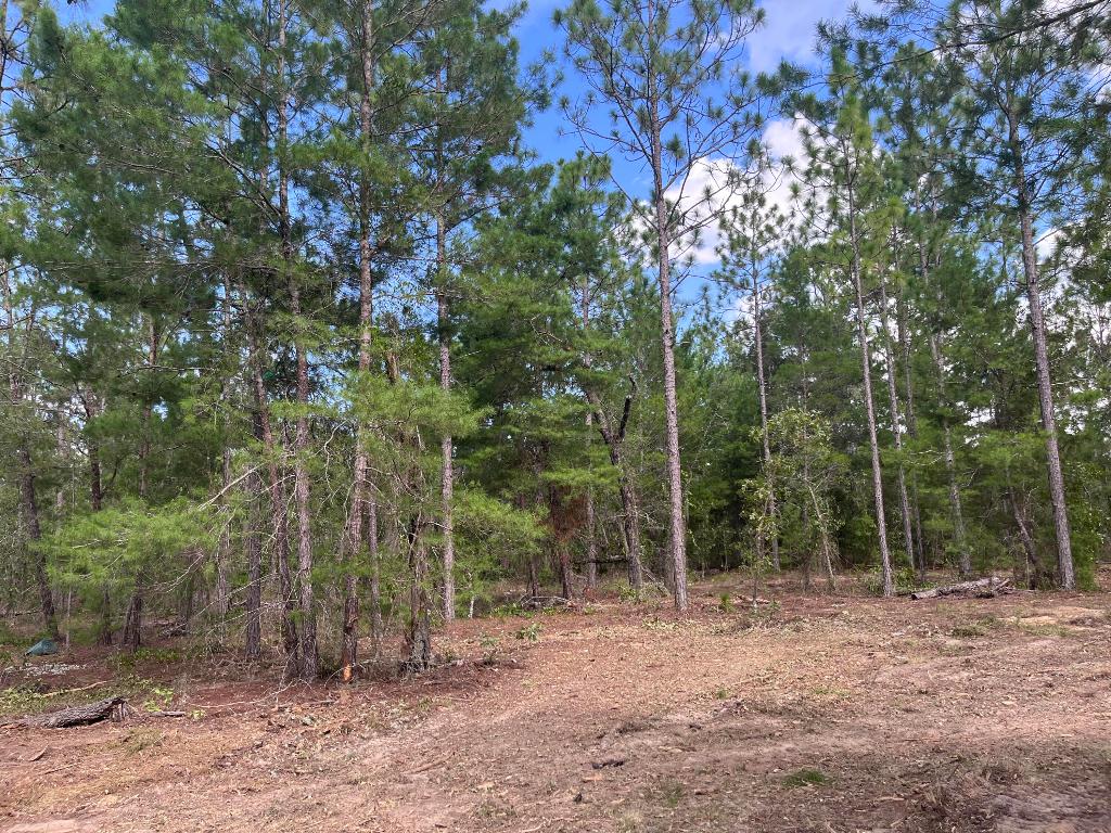 INTERLACHEN LAKES ESTATES - Land