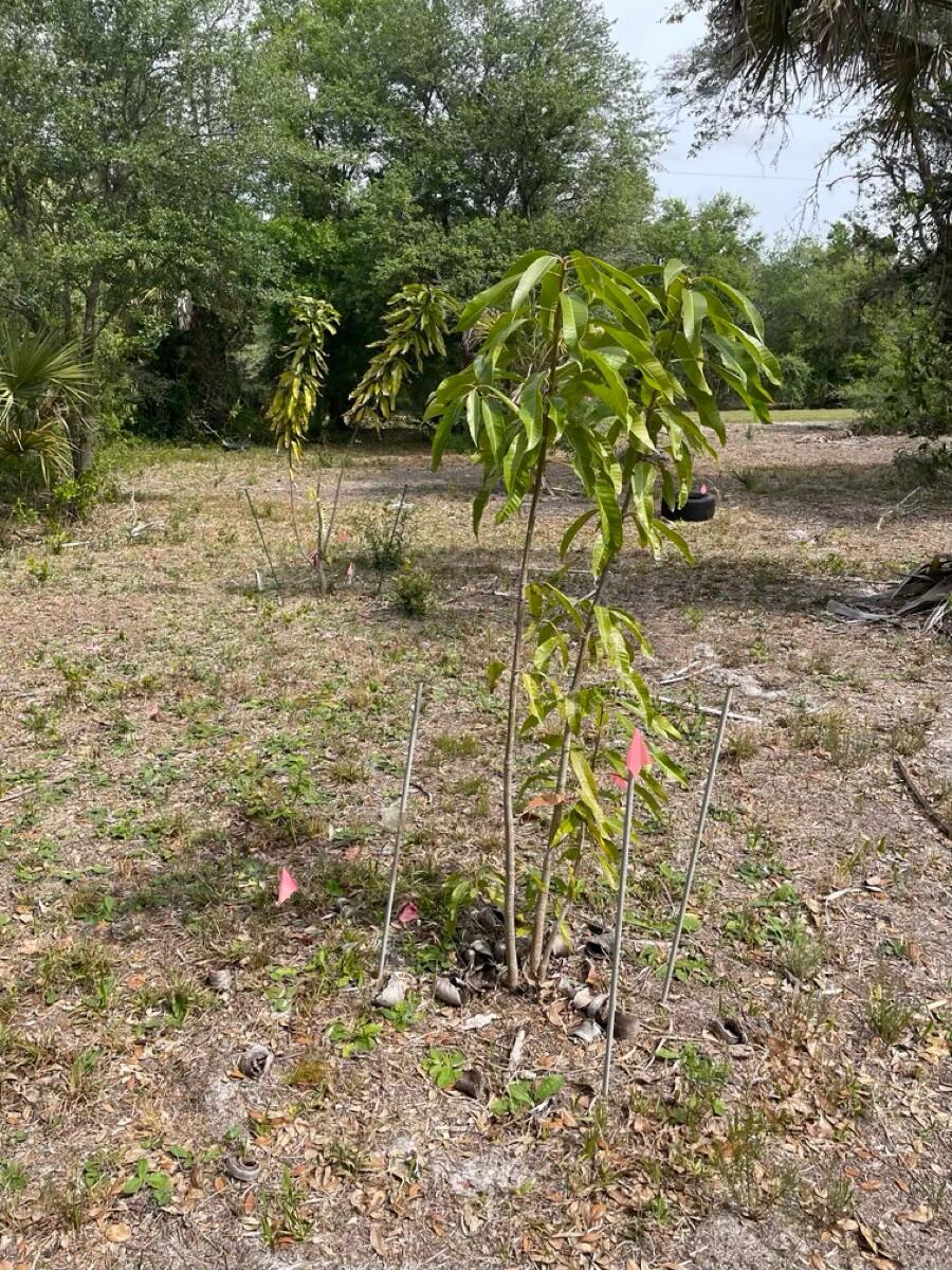 17486 NW 276th Street