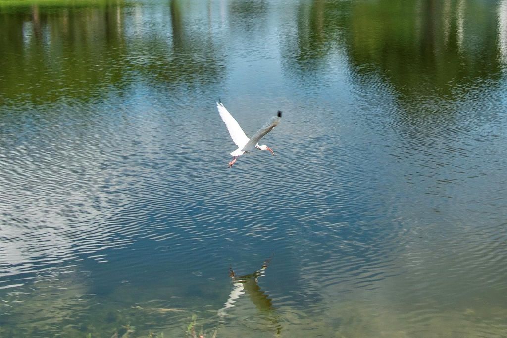 Photo of 2085 Wolverton E #2085, Boca Raton, FL 33434 (MLS # R11136156)