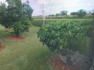 KINGS POINT BURGUNDY CONDOS - Residential Lease