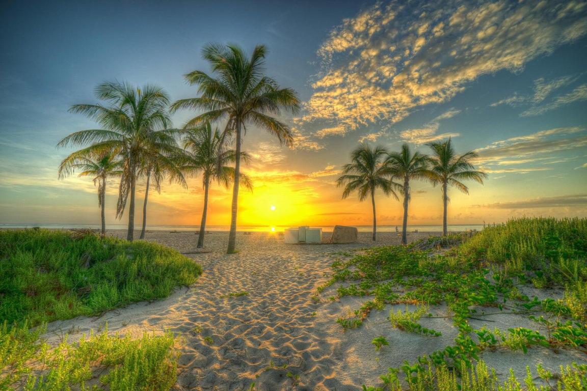 Aquarius Condo - Residential