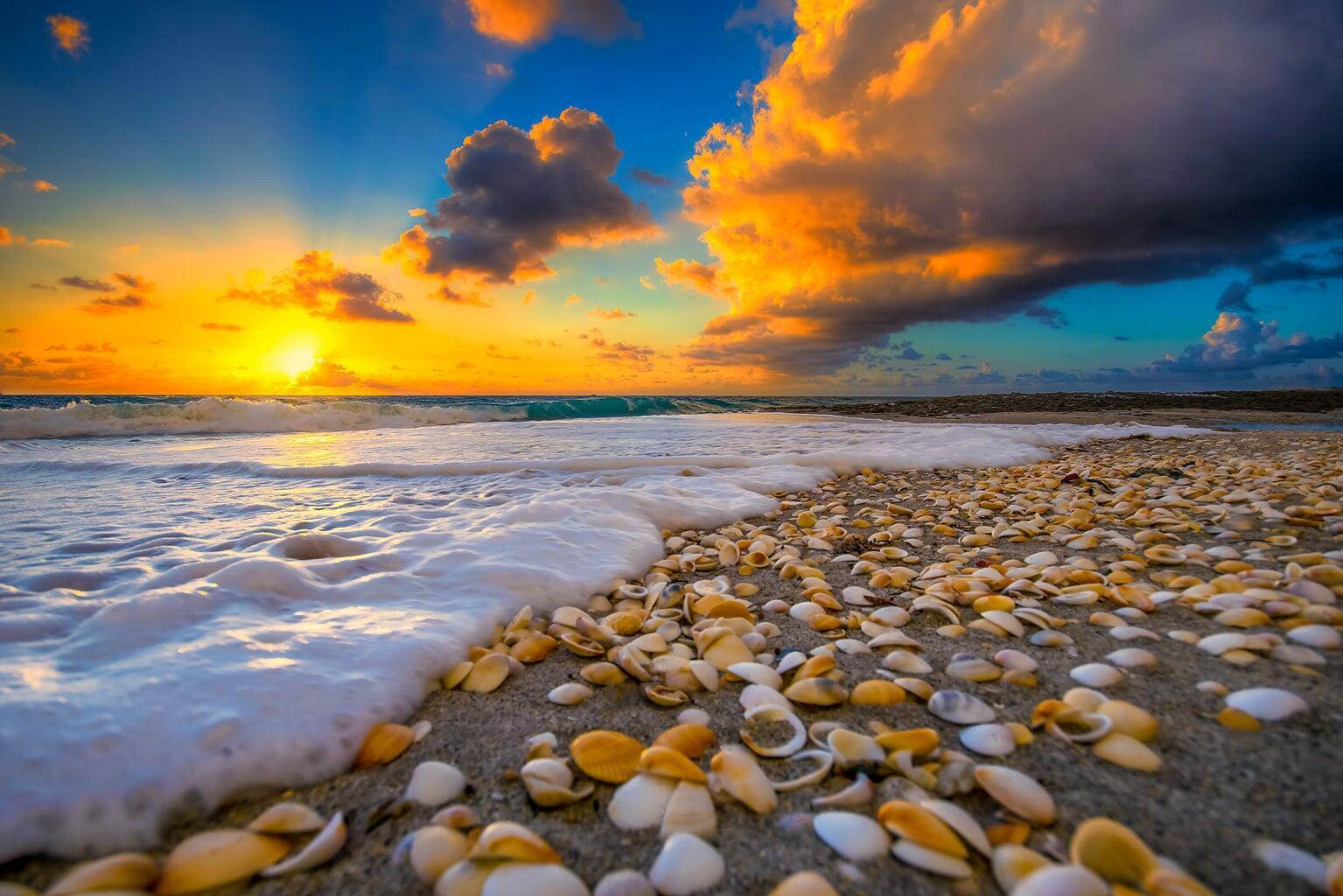 Aquarius Condo - Residential