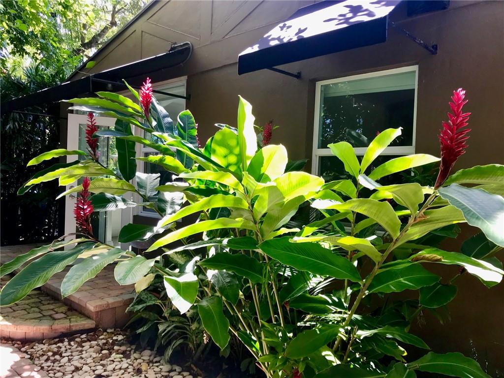 Las Olas Park Corr 6-12 B - Residential