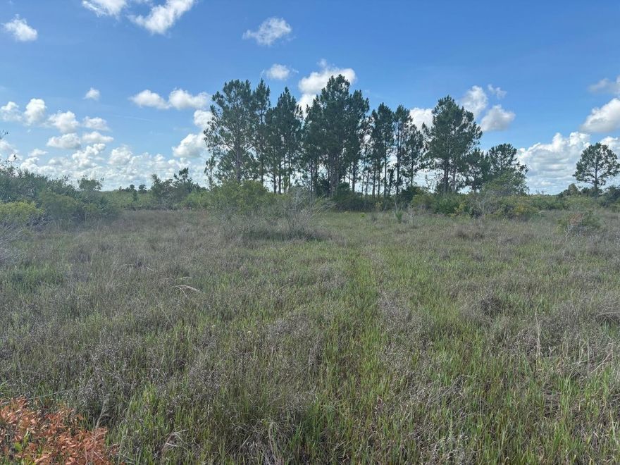 Start your farm, set up a shooting range, or set up camp at this 3 acre Okeechobee property with only $4k down. Adjacent properties also available.Owner financing