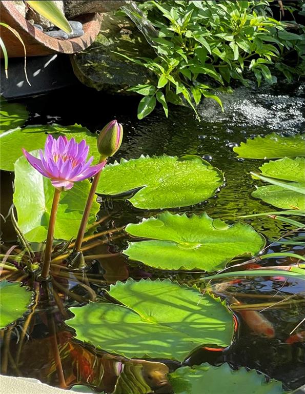 OAKLAND PARK 2ND ADD - Residential