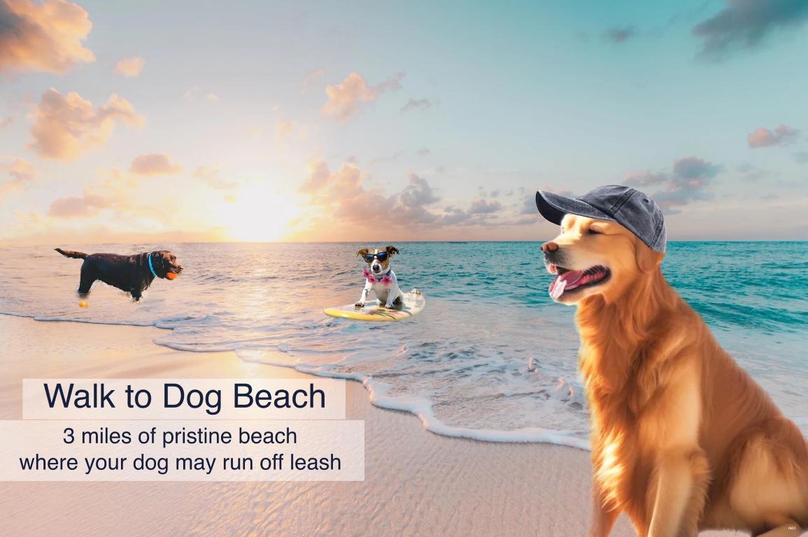 LAKES AT THE BLUFFS, LAKES AT BLUFFS - Residential Lease