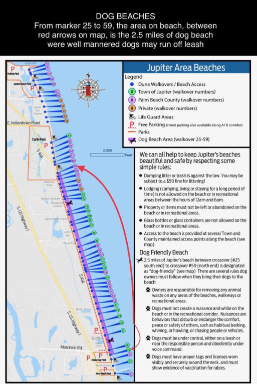 LAKES AT THE BLUFFS, LAKES AT BLUFFS - Residential Lease