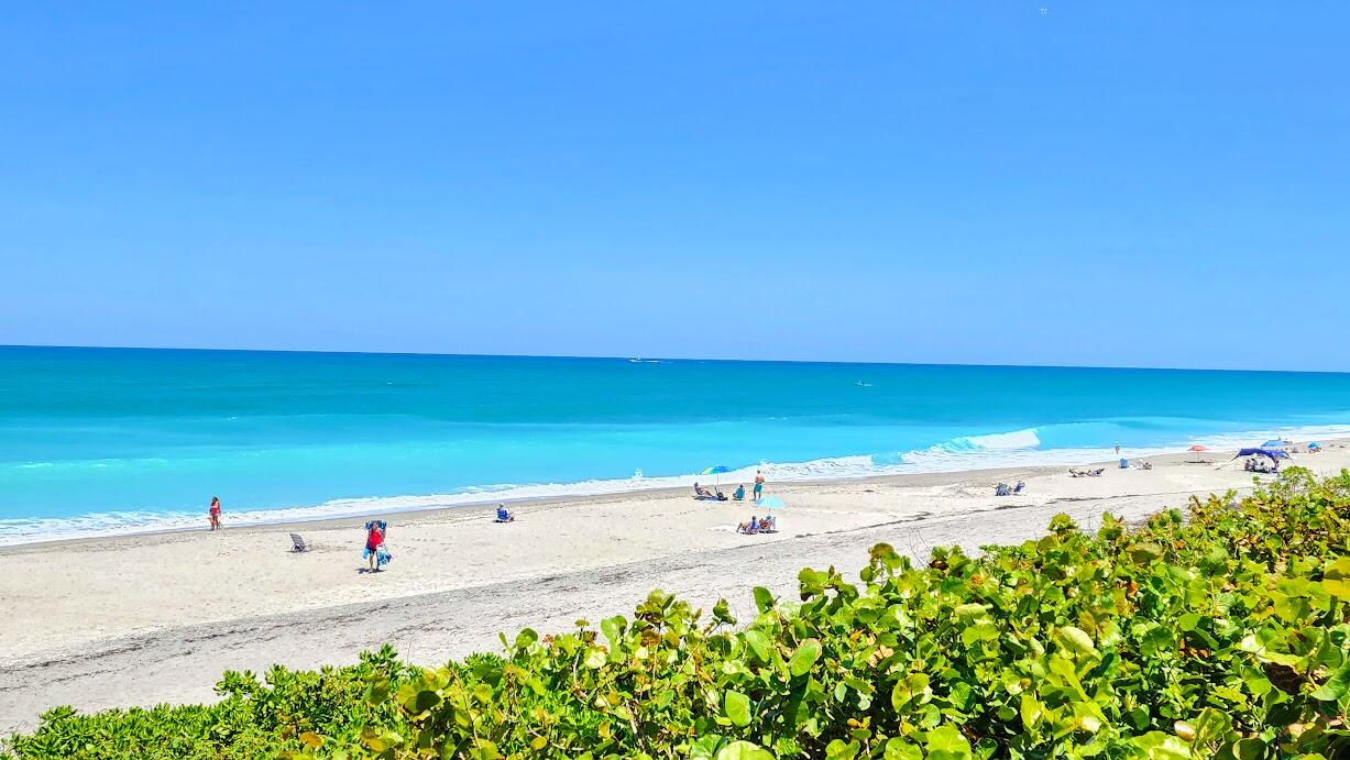 LAKES AT THE BLUFFS, LAKES AT BLUFFS - Residential Lease