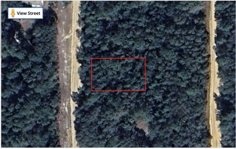 Tbd Louise Avenue Interlachen FL 32148