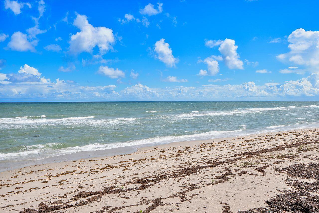 Palm Beach - Residential