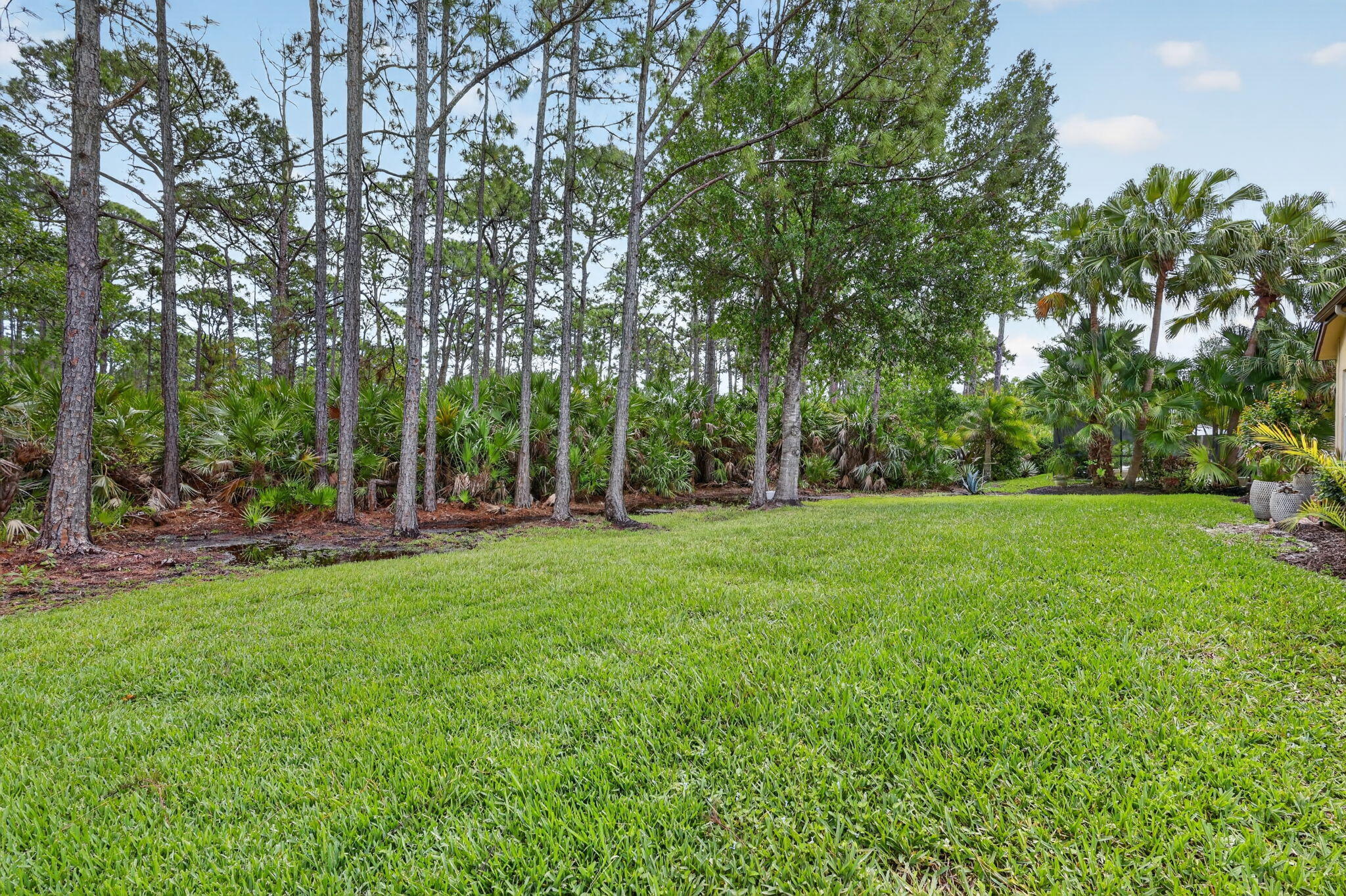 Vineyards - Residential
