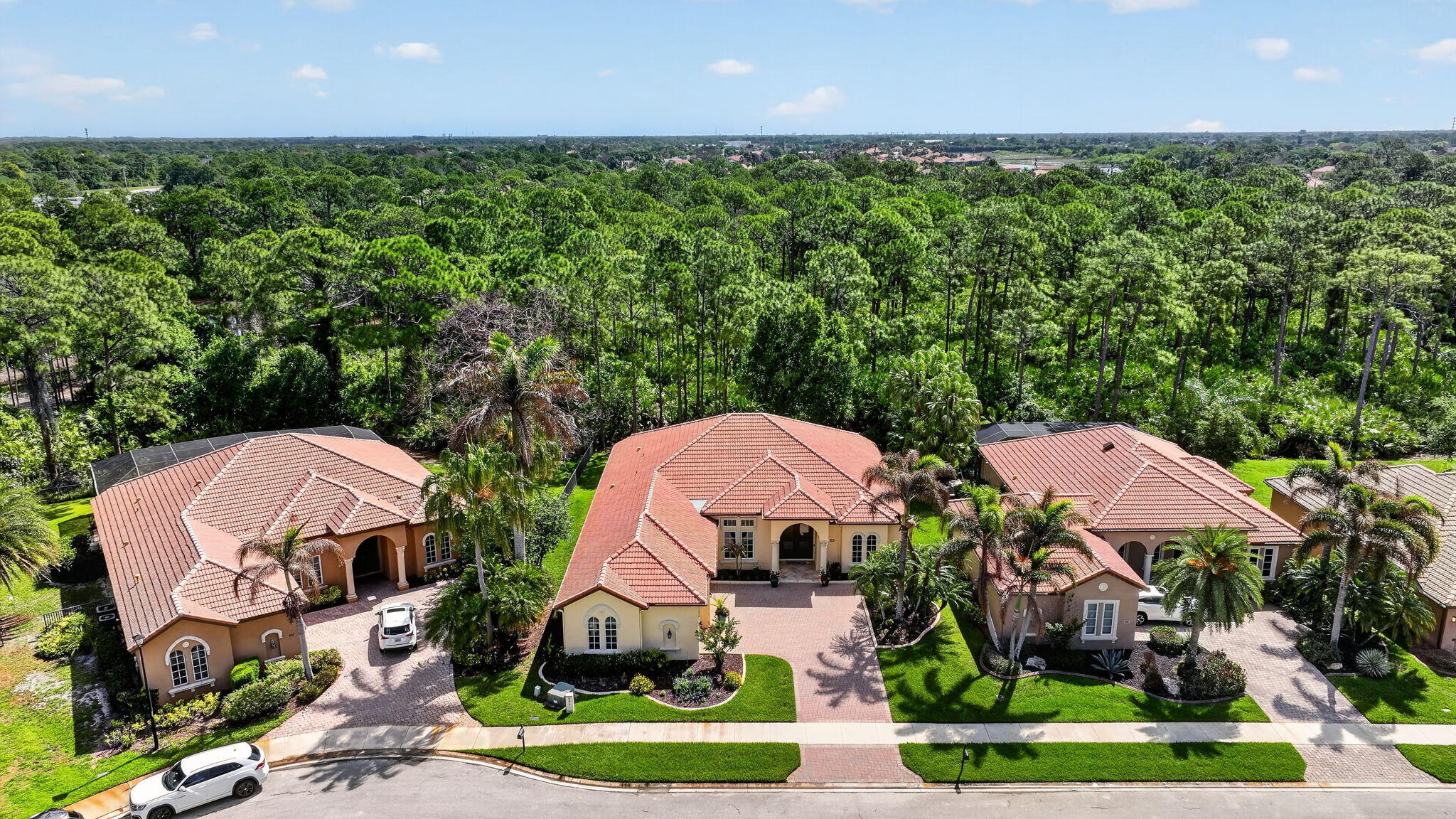 Vineyards - Residential