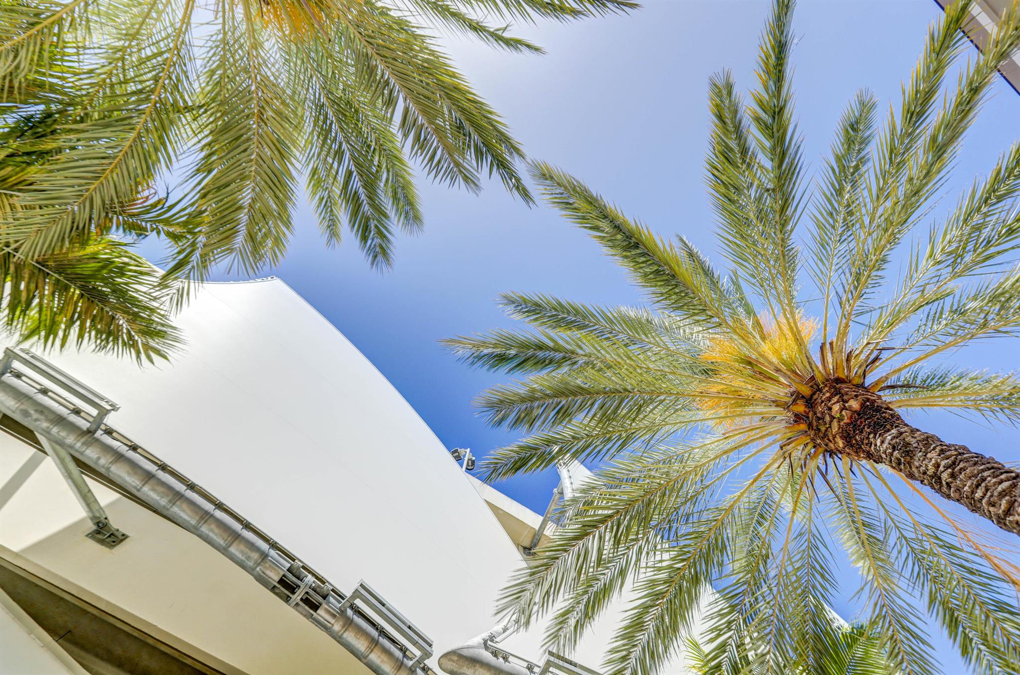 SEACREST TOWERS CONDO - Residential Lease