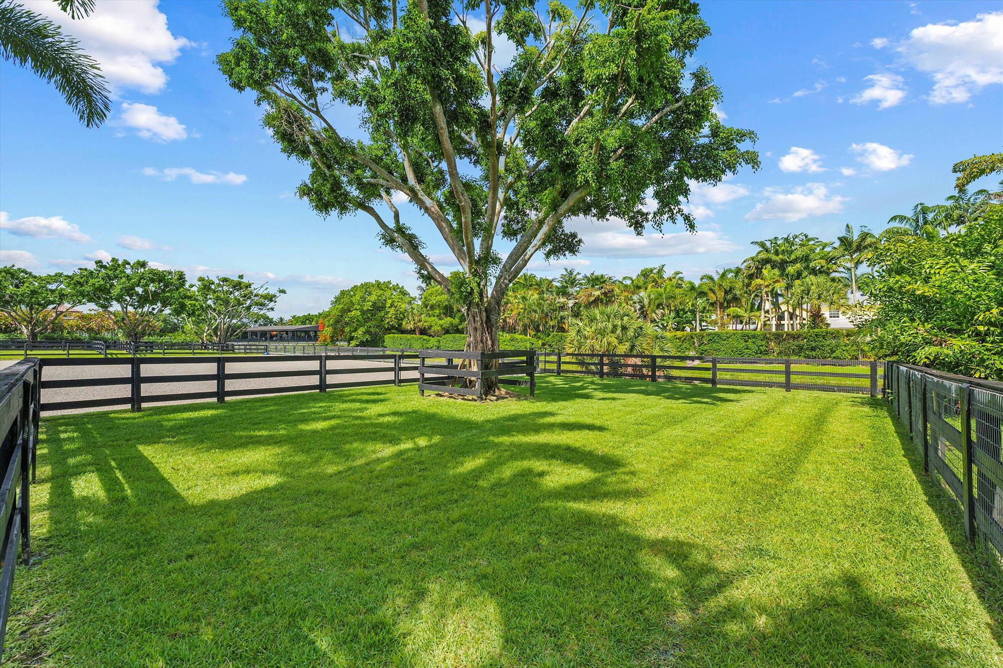 PADDOCK PARK 2 OF WELLING - Residential