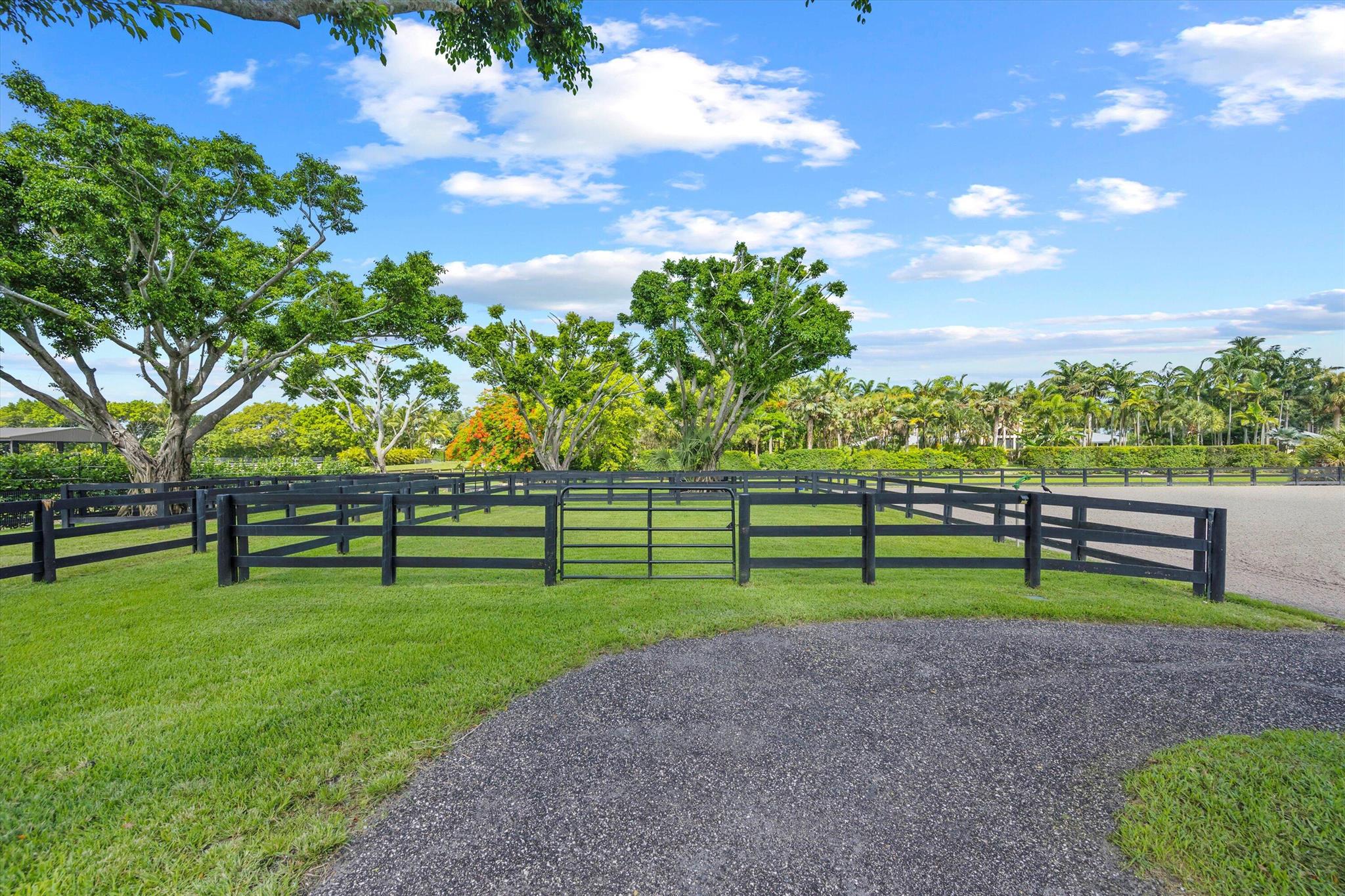 PADDOCK PARK 2 OF WELLING - Residential