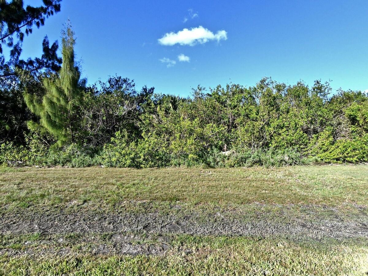 GREAT OPPORTUNITY TO OWN 1/2 ACRE WATERFRONT LOT ON RIVER PRADO IN DESIRABLE ST. LUCIE VILLAGE!!! PRICED TO SELL!!!