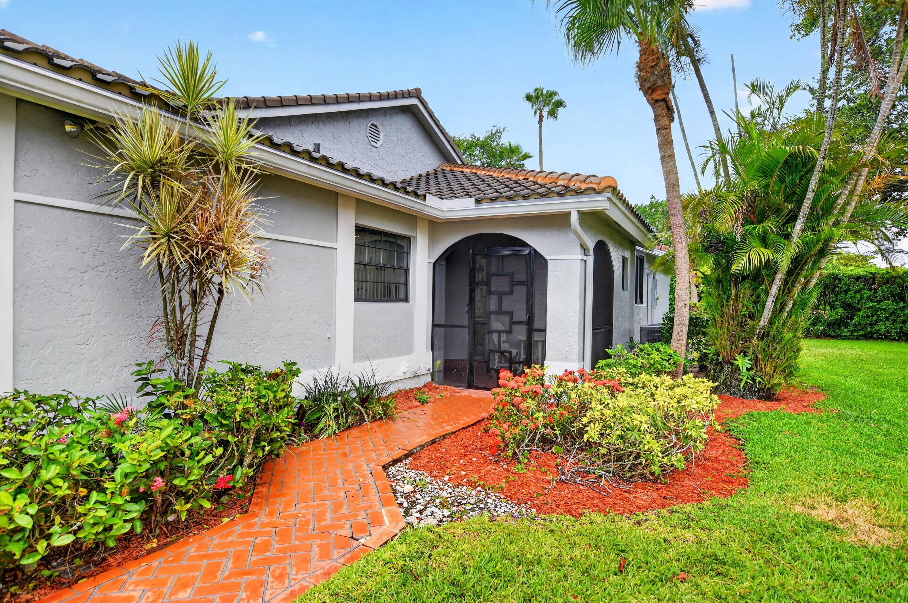 10523 Ladypalm B