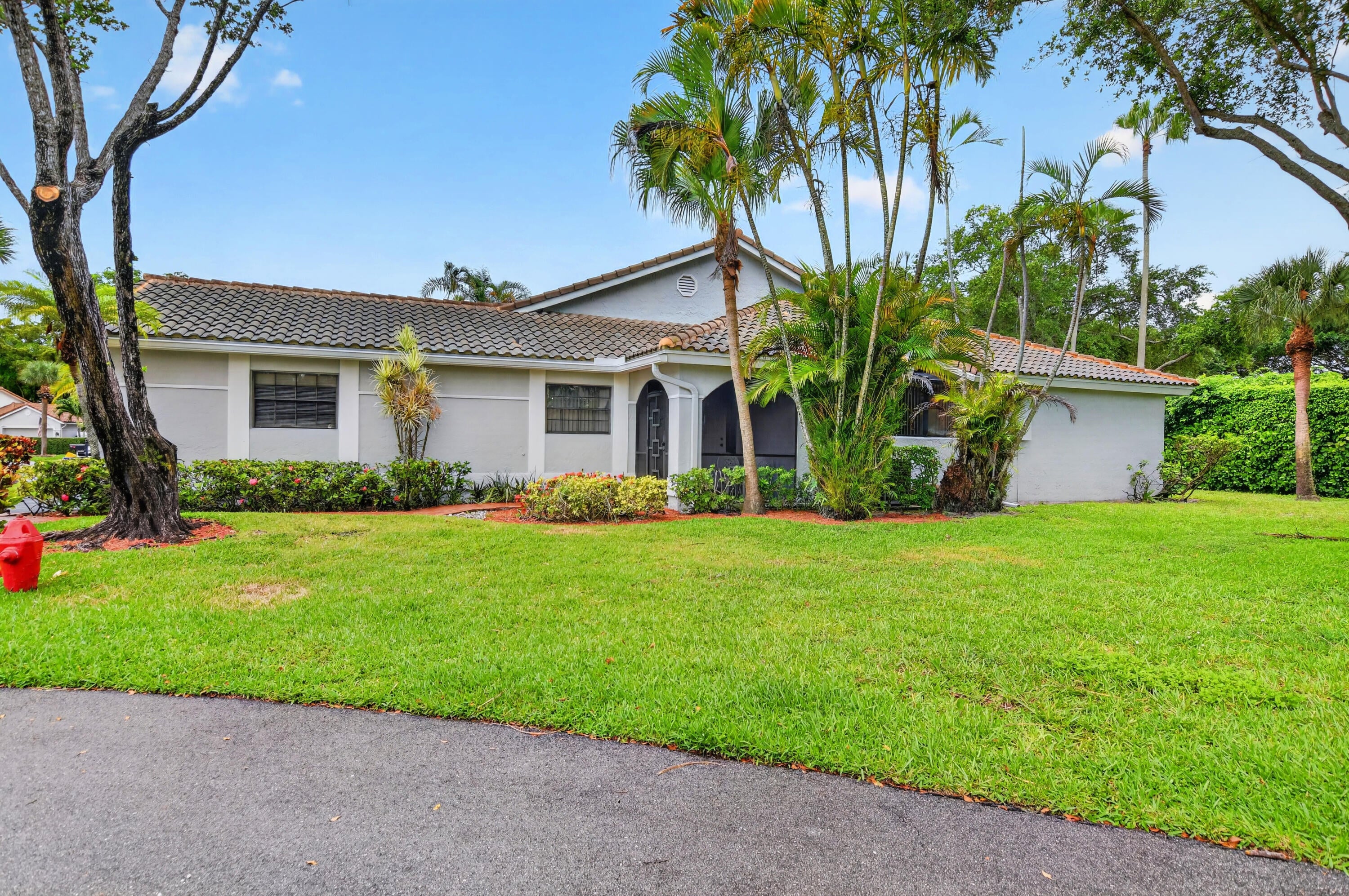 10523 Ladypalm B