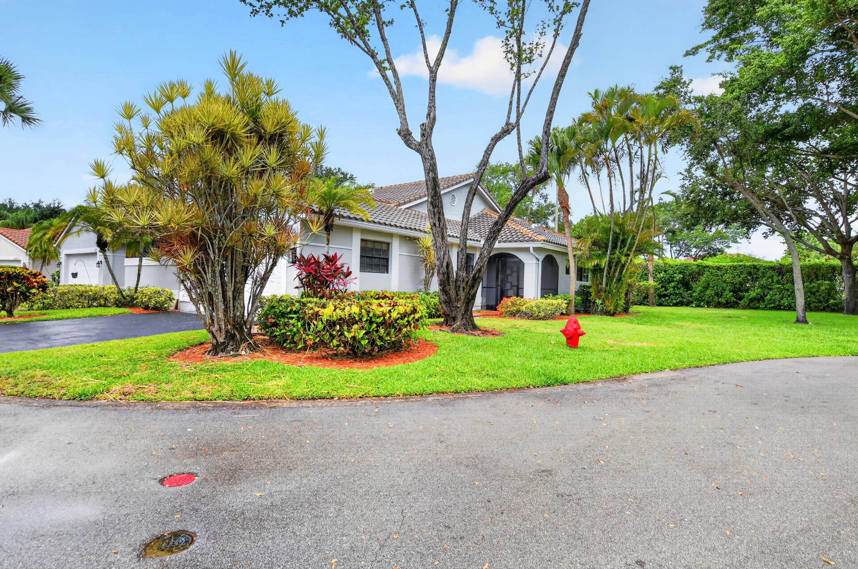 10523 Ladypalm B