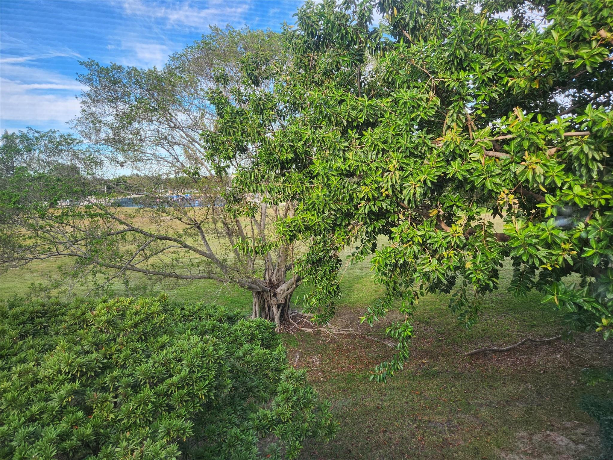 4042 Lyndhurst J 4042