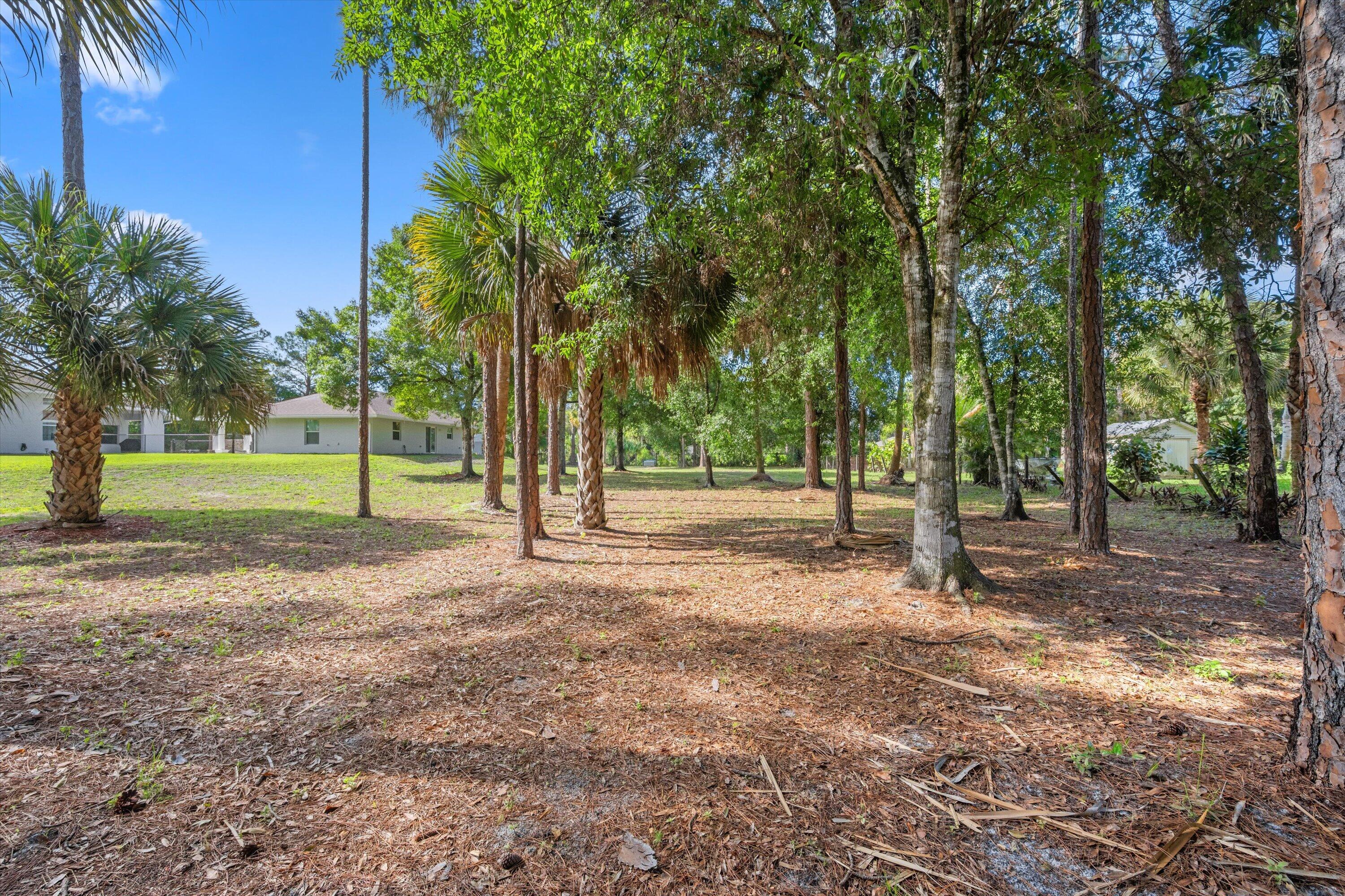 The Acreage - Residential